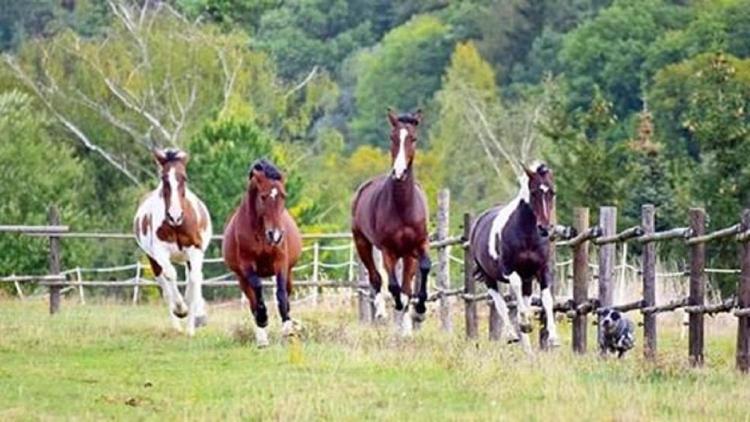 Podkrovi S Koupelnou Svinarov Ngoại thất bức ảnh